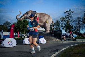 BIB: 
                            <button type="button" onclick="openModal(26541896)" class="btn btn-primary btn-sm float-right btn-popup" data-toggle="modal" data-target=".modal-high-quality">
                        <i class="fas fa-shopping-cart"></i> Add to Cart
                    </button>
                                            <button type="button" onclick="isThisMe(26541896, true)" class="btn btn-success btn-sm float-right btn-popup btn-isme hidden" data-toggle="tooltip" data-placement="bottom" title="นี่คือรูปของคุณใช่ไหม คลิกที่นี่เพื่อเอาเข้าอัลบั้ม">
                        <i class="fas fa-plus"></i> Add to album
                    </button>
                    <button type="button" onclick="isThisMe(26541896, false)" class="btn btn-warning btn-sm float-right btn-popup btn-isnotme hidden">
                        <i class="fas fa-ban"></i> Remove from album
                    </button>